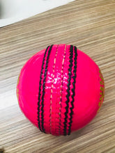 Load image into Gallery viewer, TPM Cricket Balls - 90 Overs running